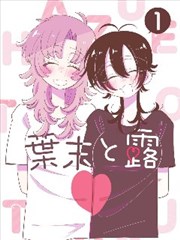 二婶的秘密小说封面